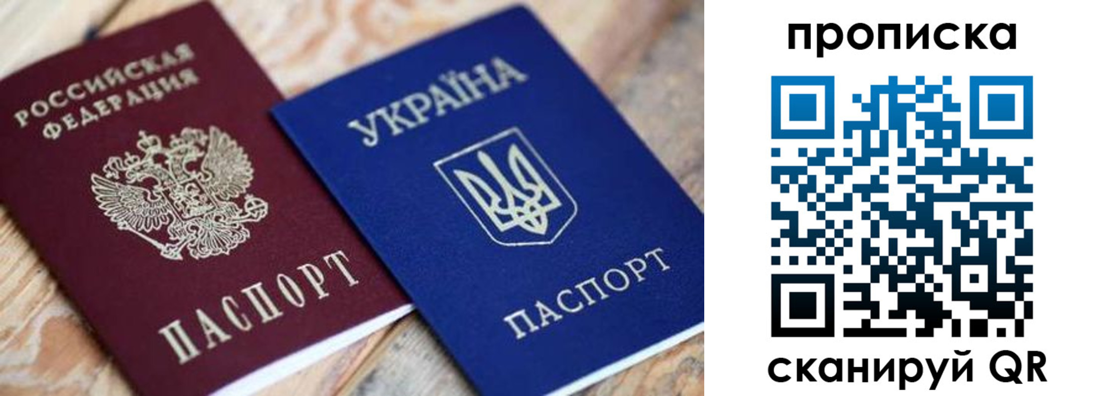 прописка поиск в Видном